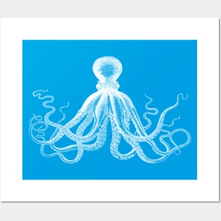 Octopus | Vintage Octopus | Tentacles | Sea Creatures | Nautical | Ocean | Sea | Beach | Turquoise Blue and White | Posters and Art